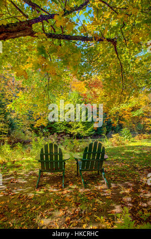 Grün-Adirondack Stühle unter einem Ahornbaum. Stockfoto