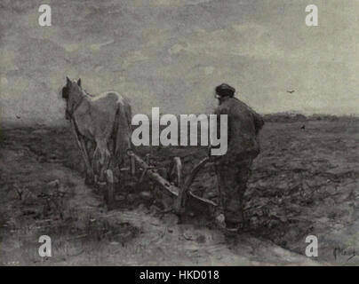 Holländische Malerei im 19. Jahrhundert lila Pflügen Stockfoto