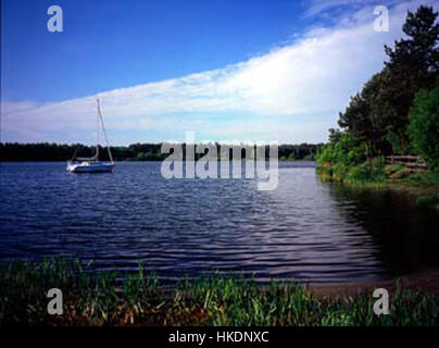 Sulejów Lake2 ist ein malerisches Landschaftsbild, das die natürliche Schönheit des Sees zeigt. Der Künstler fängt das ruhige Wasser und die Umgebung ein und schafft eine friedliche und ruhige Atmosphäre, die typisch für Landschaftskunst ist. Stockfoto