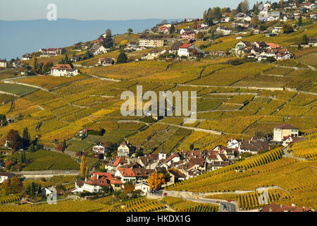 Weinberge im Herbst mit Blick auf das Winzerdorf Riex, Lavaux, Kanton Waadt, Schweiz Stockfoto