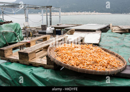 traditionelle Trockenfisch in Hong kong Stockfoto