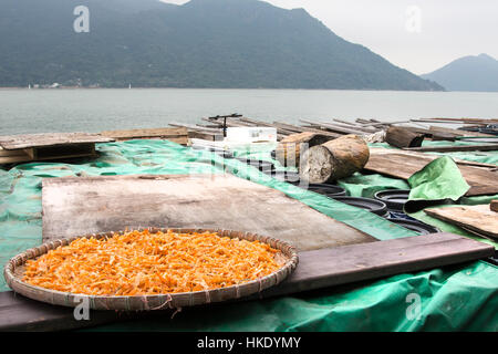 traditionelle Trockenfisch in Hong kong Stockfoto