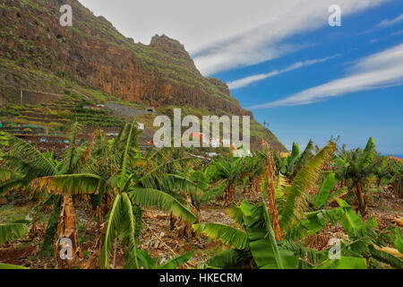 Landschaft in der Nähe von Vallehermoso Stadt auf der Insel La Gomera, Kanarische Inseln, Spanien Stockfoto