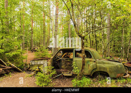 Ein Auto-Friedhof befindet sich in einem Wald bei Kirkoe Mosse, Schweden. Stockfoto