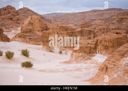 Gold trockenen Wüstenlandschaft am Sinai, Ägypten Stockfoto