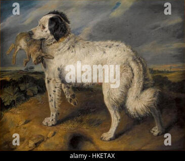 Sir Edwin Henry Landseer Champion; Venus, ein Landseer Neufundländer mit einem Kaninchen, 45,5 von 55,5 cm (In 116 von 141) Stockfoto