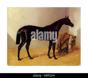 Ein Plakat aus dem Jahr 1839, das den schwedischen König Karl XII. Zeigt. Das Bild fängt die historische Bedeutung seiner Herrschaft ein, bekannt für seine militärischen Feldzüge und Führung während des Großen Nordkrieges. Stockfoto