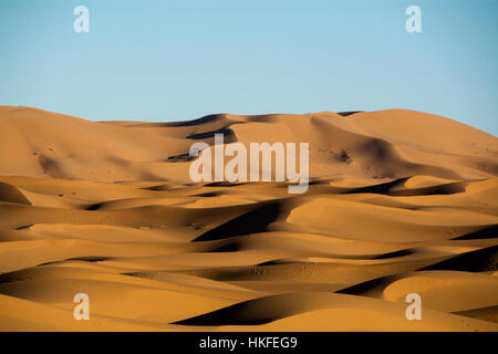Marokko. Sahara-Dessert. Stockfoto