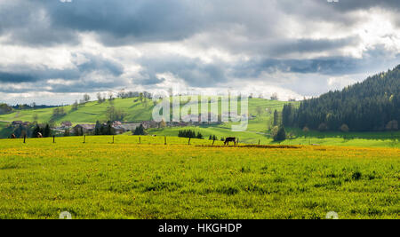 Wiese in voller Blüte und das Dorf von Longevilles-Mont-d ' or weit weg (Nordost-Frankreich). Stockfoto