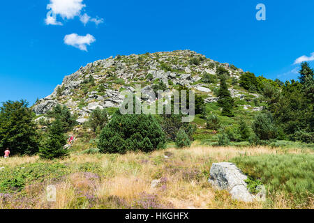 Mont Gerbier de Jonc, einem Berg im Zentralmassiv, Süd-Ost-Frankreich. Stockfoto