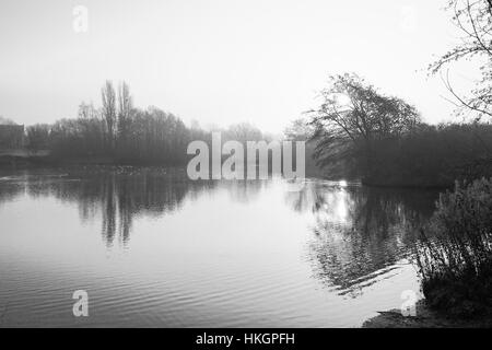 Nebel liegt über einem ruhigen Wald See an einem kalten Wintermorgen Stockfoto