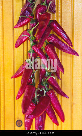 Getrocknete Paprika an der Wand hängen Stockfoto
