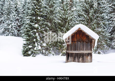 Winter-Bergwald-Landschaft mit kleinen Holzschuppen und Bäume mit Schnee bedeckt Stockfoto