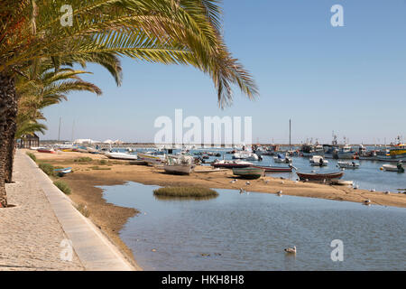 Palmengesäumten Promenade von Fischerdorf bekannt als Hauptstadt der Oktopus (Hauptstadt Do Polvo), Santa Luzia, Algarve, Portugal, Europa Stockfoto