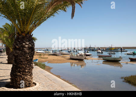 Palmengesäumten Promenade von Fischerdorf bekannt als Hauptstadt der Oktopus (Hauptstadt Do Polvo), Santa Luzia, Algarve, Portugal, Europa Stockfoto