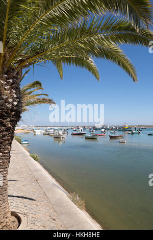 Palmengesäumten Promenade von Fischerdorf bekannt als Hauptstadt der Oktopus (Hauptstadt Do Polvo), Santa Luzia, Algarve, Portugal, Europa Stockfoto