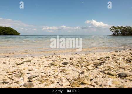 Boca Chita, Biscayne Nationalpark Florida Stockfoto