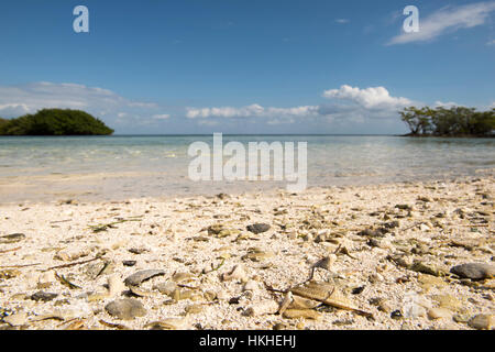 Boca Chita, Biscayne Nationalpark Florida Stockfoto