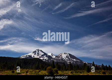 CA02932-00... Kalifornien - Mount Shasta und kleine Firmen von Bolam Straße an der Nordseite des Berges betrachtet. Stockfoto