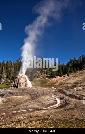 WY02242-00... WYOMING - Lone Star Geysir im Yellowstone National Park. Stockfoto