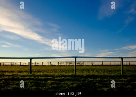 Licht des frühen Morgens auf Rennen Hügel, Brighton Stockfoto