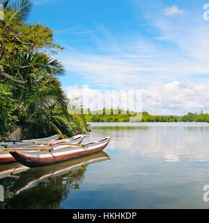 Fluss, Regenwald und Vergnügen Boote Stockfoto