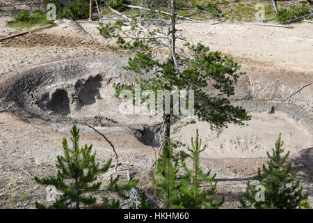 Schwefel-Kessel, Yellowstone-Nationalpark, Wyoming, USA Stockfoto