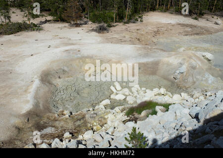 Schwefel-Kessel, Yellowstone-Nationalpark, Wyoming, USA Stockfoto