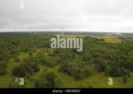 Windpark in einer grünen Umgebung Stockfoto