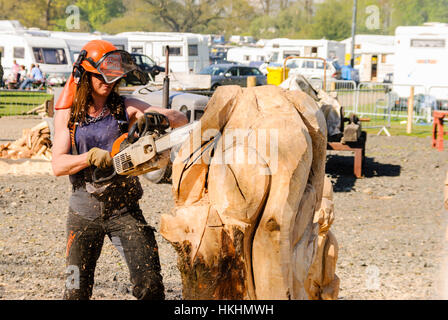 Frau verwendet eine Stihl Motorsäge um zu einen Baumstamm in die Form eines Tieres zu schnitzen. Stockfoto