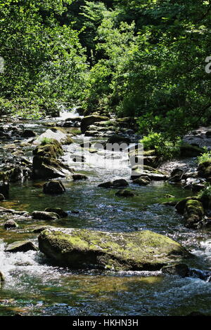 Wasserfälle bei Watersmeet wo East Lyn River Stockfoto