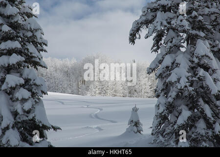 Backcountry Skiing in Steamboat Springs, Colorado Stockfoto