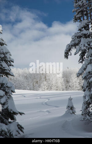 Backcountry Skiing in Steamboat Springs, Colorado Stockfoto