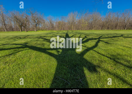Baum Schatten durchqueren die Landschaft der Mound City Group, Hopewell Kultur National Historical Park, Ohio, USA Stockfoto