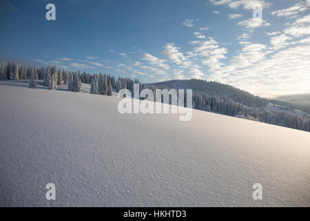 Backcountry Skiing in Steamboat Springs, Colorado Stockfoto