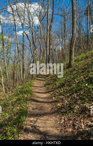 Trail durch den Wald entlang Ohio Brush Creek in Serpent Mound State Memorial im Adams County, Ohio, USA Stockfoto