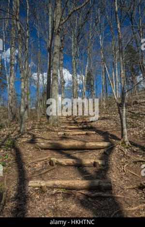 Rustikale Log-Stufen auf einem Wanderweg durch den Frühlingswald bei Serpent Mound State Memorial im Adams County, Ohio, USA Stockfoto