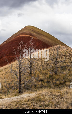 Toten Western Wacholder, Juniperus Occidentalis, Feuer-getötet in der Painted Hills, John Day Fossil Beds National Monument, Oregon Stockfoto