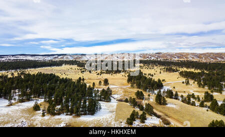 Luftaufnahme des Pikes National Forest im Winter. Stockfoto