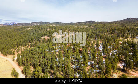 Luftaufnahme des Pikes National Forest im Winter. Stockfoto