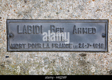 Cimetière Militaire Français Comprenant 990 Soldats Dans Quatre Ossuaires. Stockfoto