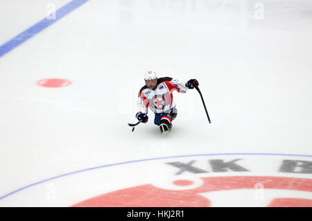 PODOLSK, Russland - 14. Januar 2017: Unbekannte Spieler des Swesda (weiß) Team von Sledge Hockey während Spiel Witjas Vs AKBars auf Russland KHL Meisterschaft am 14. Januar 2017 Stockfoto