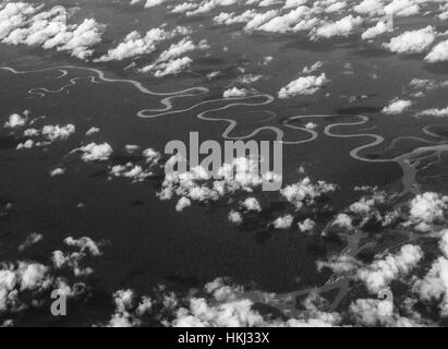 Amazonas in Peru. Fotos auf einem Dschungel Reise nach der Tambopata National Reserve in Peru 2017. Stockfoto