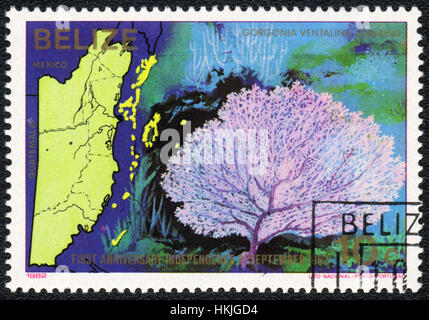 Eine Briefmarke gedruckt in Belize zeigt eine Gorgonia Ventalina Linnaeus, Serie erste Jahrestag Unabhängigkeit 21. September 1982 "Meeres-Fauna und Flora Stockfoto