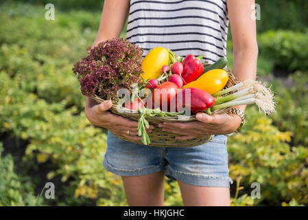 Mittelteil einer Frau mit Gemüse Korb im gemeinschaftlichen Garten, Bayern, Deutschland Stockfoto