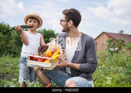 Mitte erwachsener Mann mit seinem Sohn Ernte Gemüse in gemeinschaftlichen Garten, Bayern, Deutschland Stockfoto