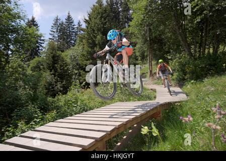 Zwei Mountainbiker fahren auf Steg durch Wald, Zillertal, Tirol, Österreich Stockfoto