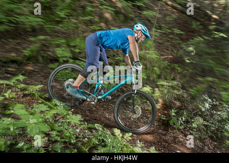 Mountainbiker fahren bergab im Wald, Bayern, Deutschland Stockfoto