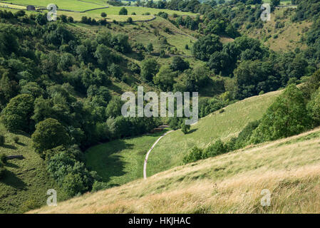 Dovedale im Peak District National Park. Blick auf den Wanderweg führt zu Milldale, Staffordshire. Stockfoto