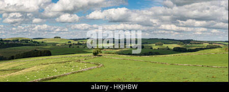 Panorama von üppigen grünen Feldern in der englischen Landschaft im Sommer. Landschaft im Bereich White Peak von Derbyshire. Stockfoto